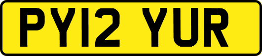 PY12YUR