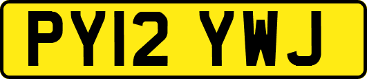 PY12YWJ