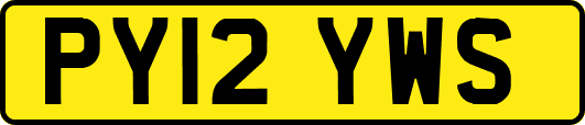 PY12YWS