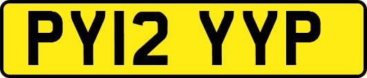 PY12YYP