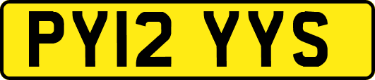 PY12YYS