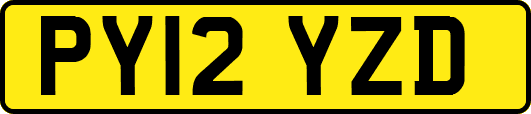 PY12YZD