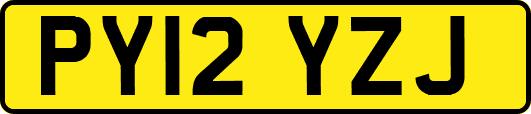 PY12YZJ