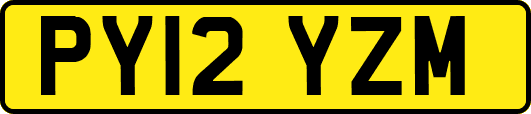 PY12YZM