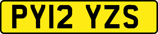 PY12YZS