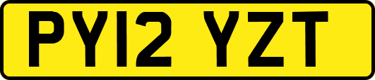 PY12YZT