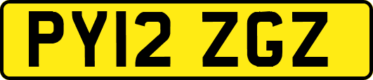 PY12ZGZ