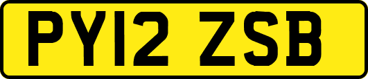 PY12ZSB