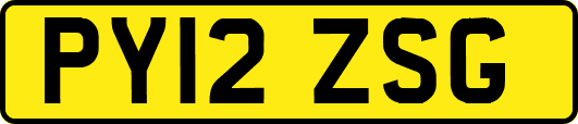 PY12ZSG