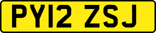 PY12ZSJ