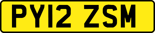 PY12ZSM
