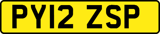 PY12ZSP