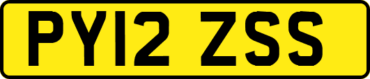 PY12ZSS