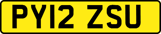 PY12ZSU