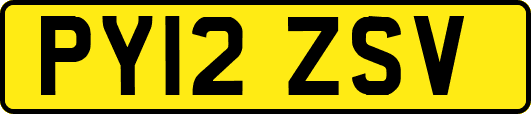 PY12ZSV