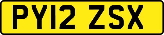 PY12ZSX