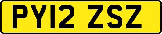 PY12ZSZ