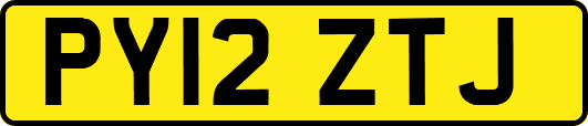 PY12ZTJ
