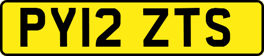 PY12ZTS