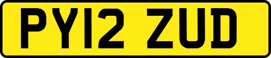 PY12ZUD