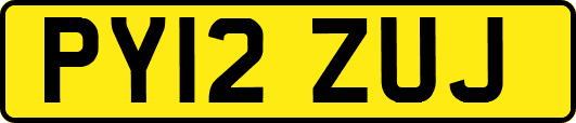 PY12ZUJ
