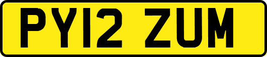 PY12ZUM