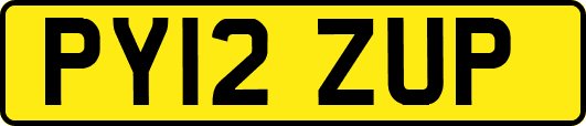 PY12ZUP