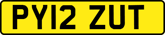 PY12ZUT