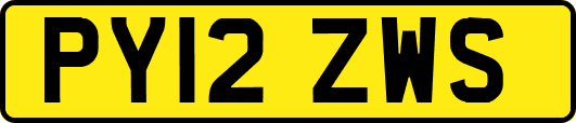 PY12ZWS
