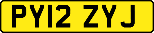 PY12ZYJ