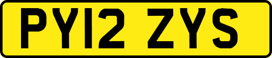 PY12ZYS