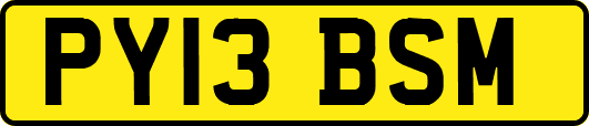 PY13BSM