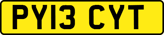 PY13CYT