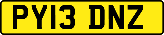 PY13DNZ