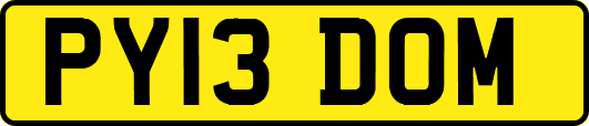 PY13DOM