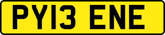 PY13ENE