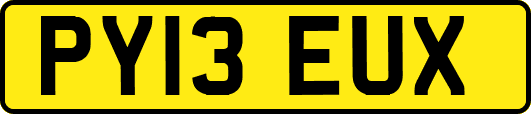 PY13EUX