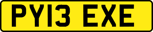 PY13EXE