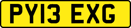 PY13EXG