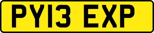 PY13EXP
