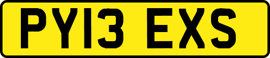 PY13EXS