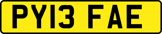 PY13FAE
