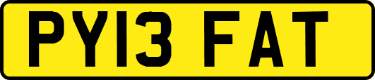 PY13FAT