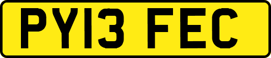 PY13FEC