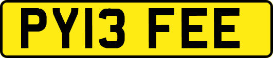 PY13FEE