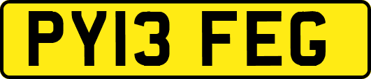 PY13FEG