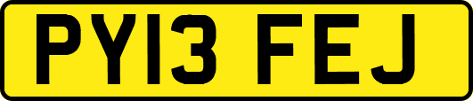 PY13FEJ