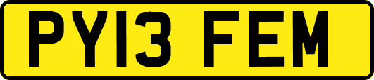 PY13FEM