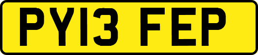 PY13FEP