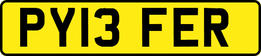 PY13FER